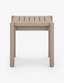 Tonia Indoor / Outdoor Side Table
