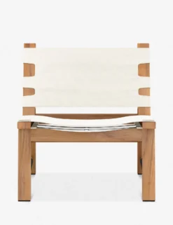 Paulette Indoor / Outdoor Accent Chair