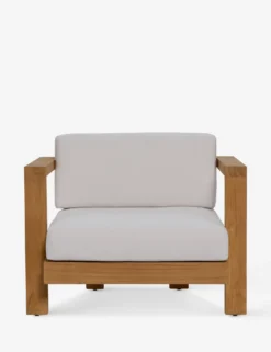 Landry Indoor / Outdoor Accent Chair