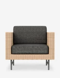 Wilde Indoor / Outdoor Accent Chair